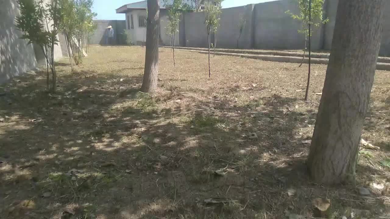 کلیه خدمات باغبانی پذیرفته میشود|خدمات باغبانی و درختکاری|رشت, پل تالشان|دیوار