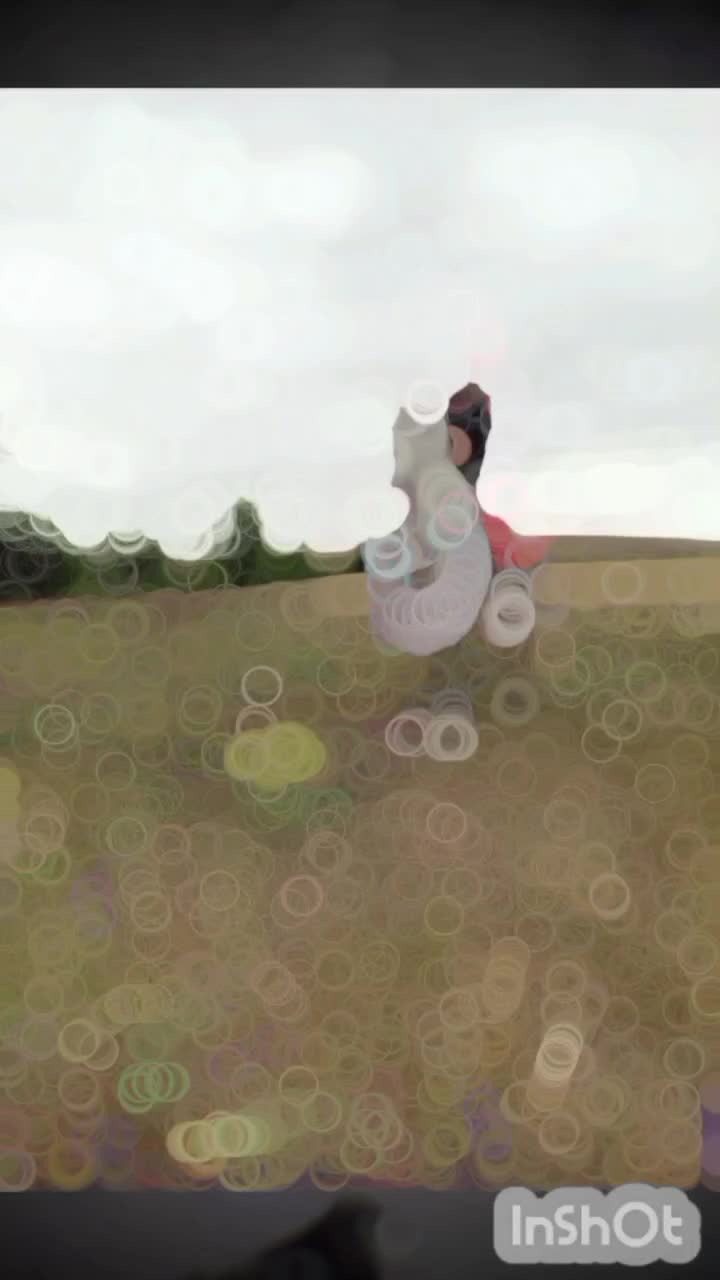 اسب کرد بسیار آرومو سواری دار|اسب و تجهیزات اسب‌سواری|ورزقان, |دیوار