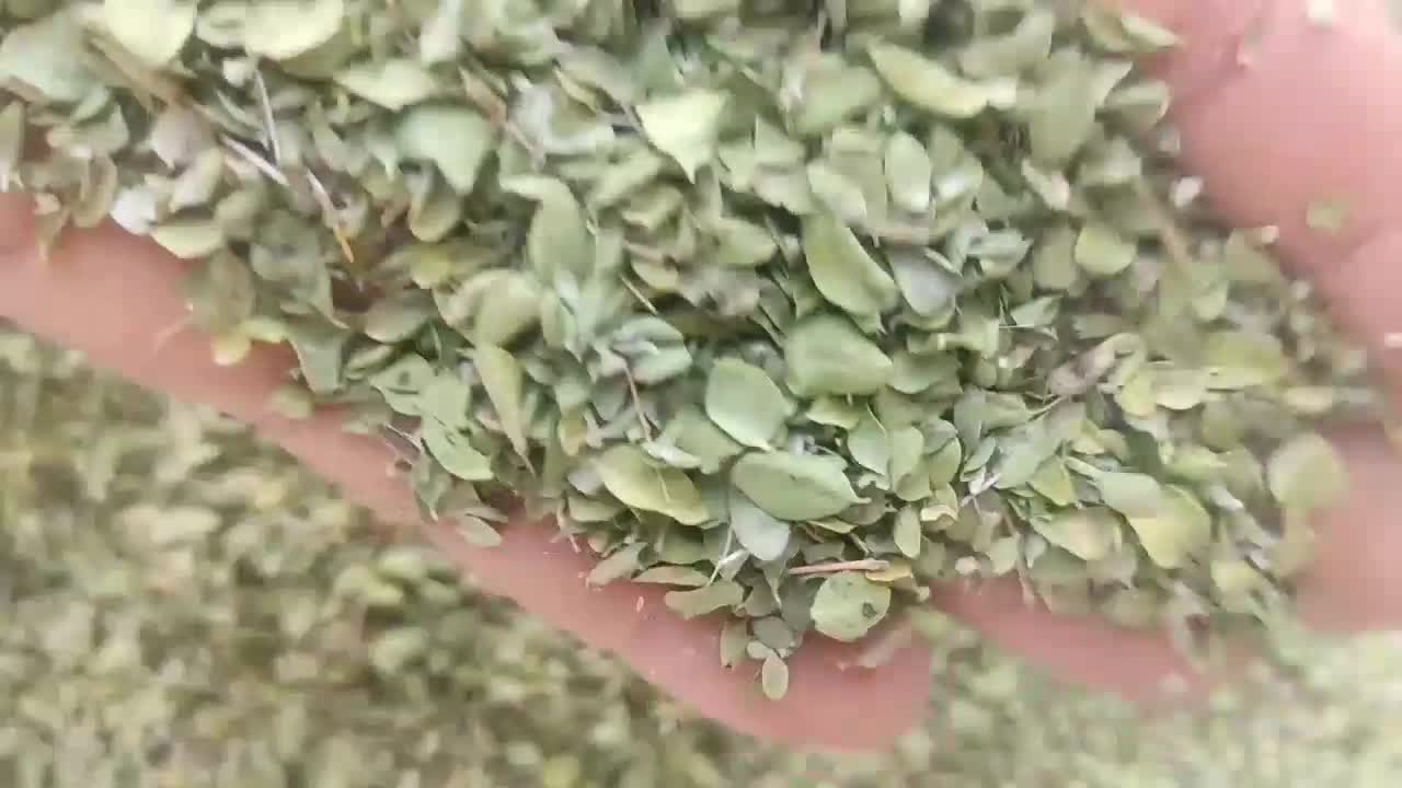 آویشن،بابونه و...|خوردنی و آشامیدنی|شیراز, پادگان ولیعصر|دیوار