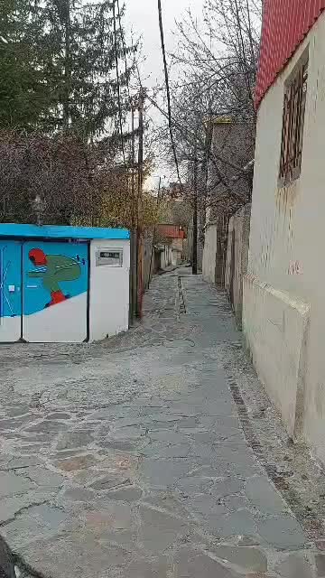ویلای نقلی در وسط روستای توریستی ولایت رود|فروش خانه و ویلا|آسارا, |دیوار