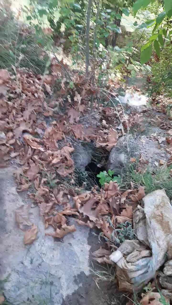 فروش باغ میوه باغبهادران روستای پرکستان|فروش زمین و ملک کلنگی|باغ بهادران, |دیوار
