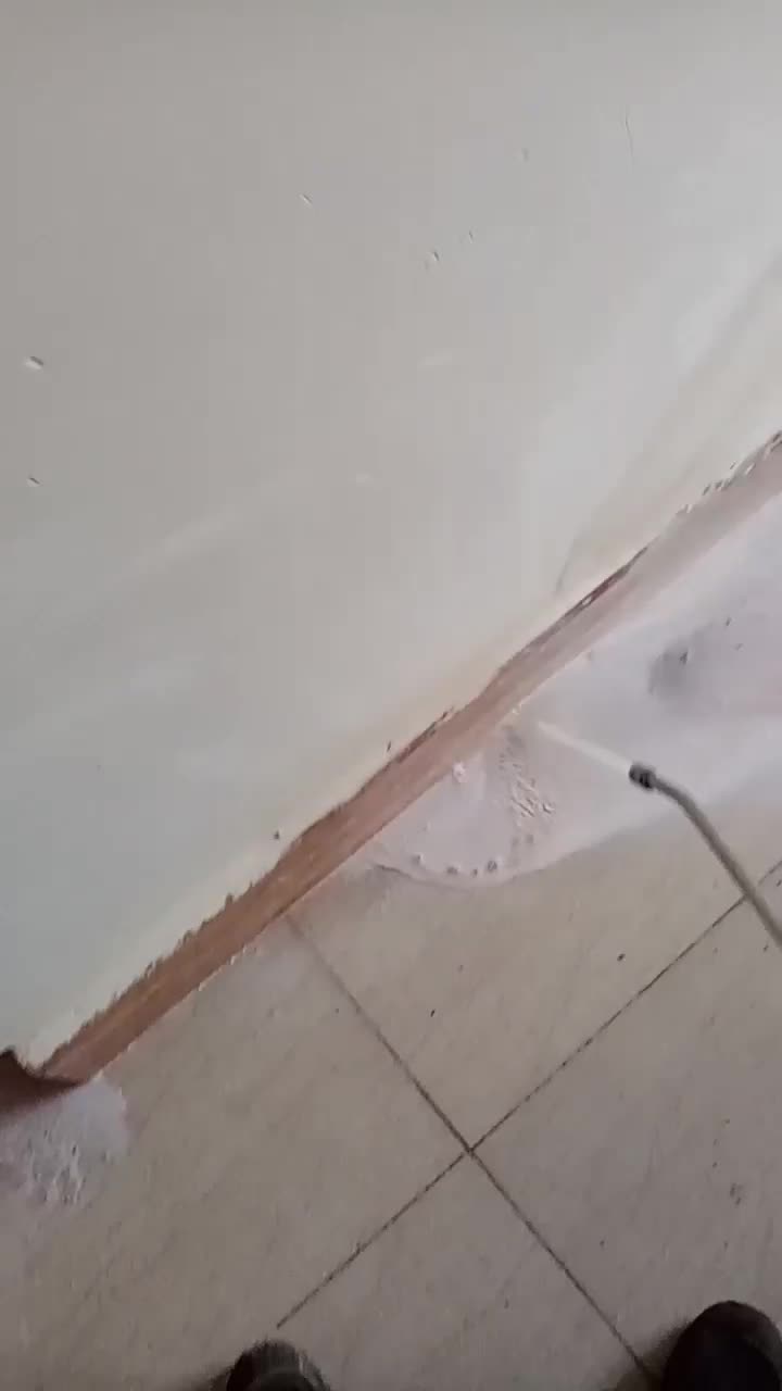 سم پاشی سمپاشی  تمامی حشرات|خدمات نظافت|خرمشهر, |دیوار