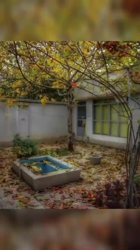 گویندگی زنانه برای تبلیغ، پادکست و دوبله|خدمات رایانه‌ای و موبایل|همدان, |دیوار