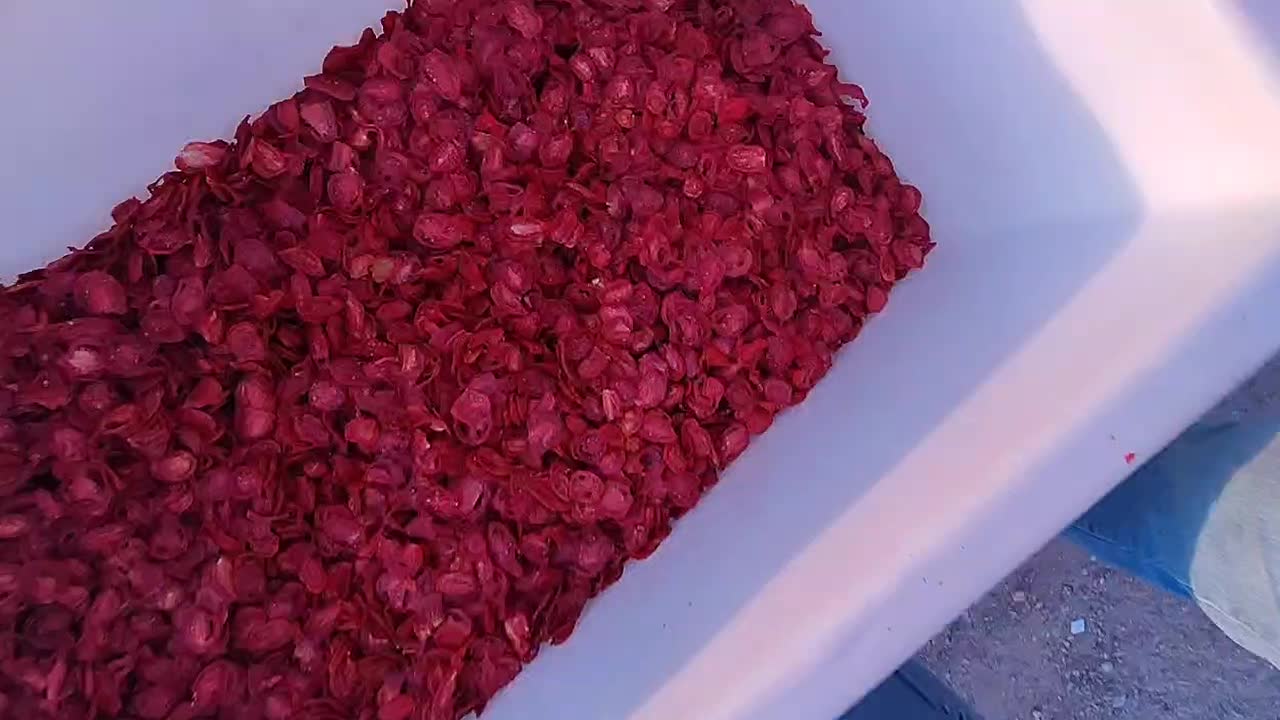 گوجه خشک عمده وفله‌ای باقیمت تولیدی-خرید بدون واسط|عمده‌فروشی|اصفهان, احمدآباد|دیوار