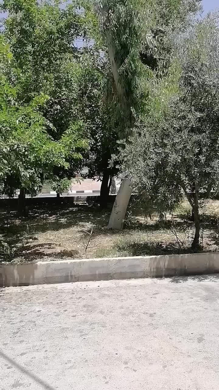 انبار|اجارهٔ خانه و ویلا|شیراز, نصر|دیوار