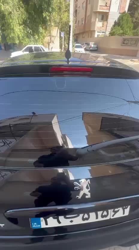 207 مدل 1403 پانورما|خودرو سواری و وانت|شیراز, مبعث|دیوار