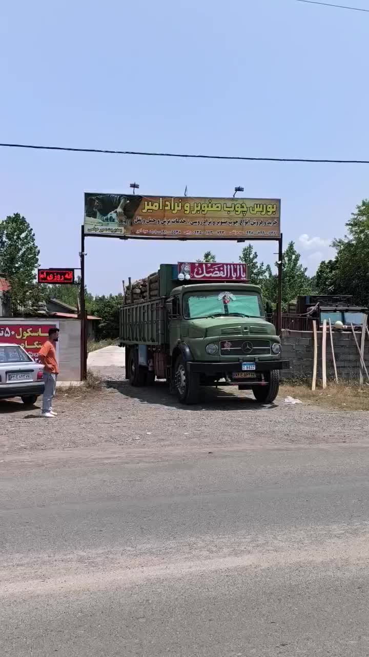 درخت صنوبر|خدمات پیشه و مهارت|آستانه اشرفیه, |دیوار