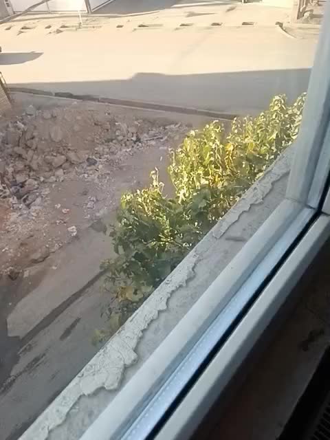 فروش زمین کشاورزی|فروش دفتر صنعتی، کشاورزی، تجاری|سنندج, |دیوار