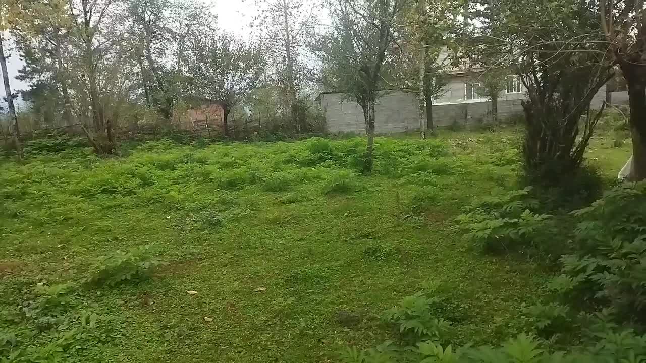 730متر باغی مسکونی دوبر گیلان شفت والیسرا|فروش زمین و ملک کلنگی|احمدسرگوراب, |دیوار