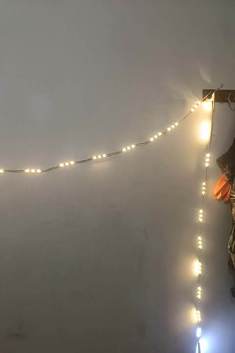 چراغ ال ای دی|ریسه و چراغ تزئینی|اردبیل, |دیوار