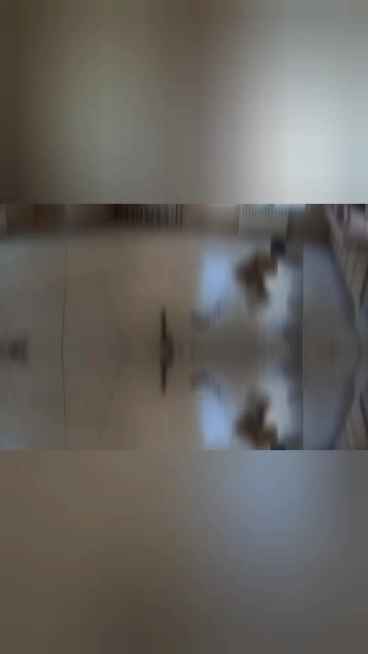 خدمات نظافتی سپیده مهر با مجوز رسمی|خدمات نظافت|زاهدان, |دیوار