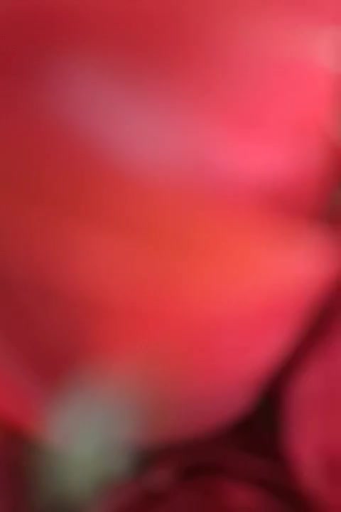 دسته گل|گل و گیاه طبیعی|تهران, فلاح|دیوار