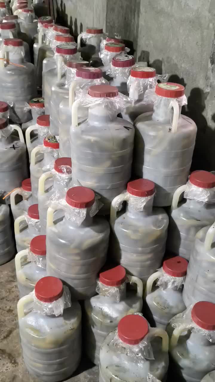 فروش خیارشور|عمده‌فروشی|اسالم, |دیوار