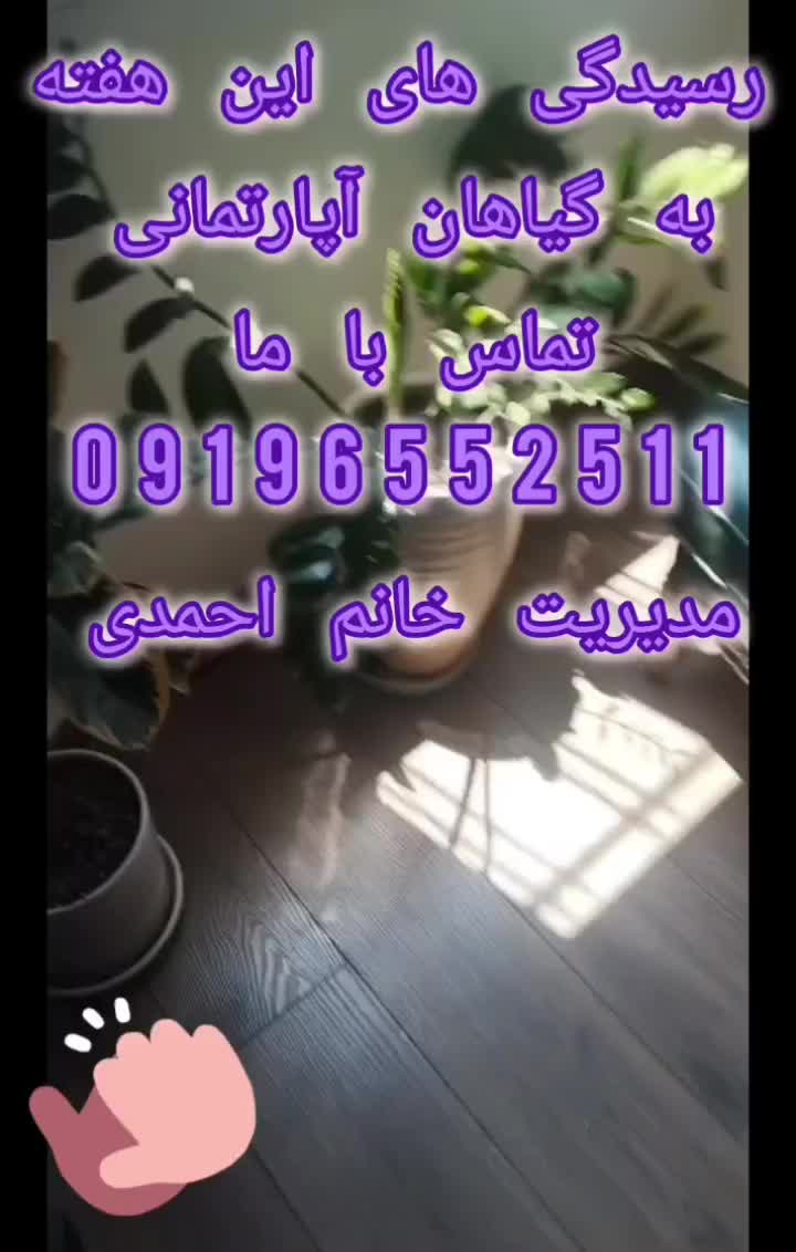 خدمات تخصصی تعویض خاک گلدان و نگهداری گیاهان|خدمات باغبانی و درختکاری|تهران, صادقیه|دیوار