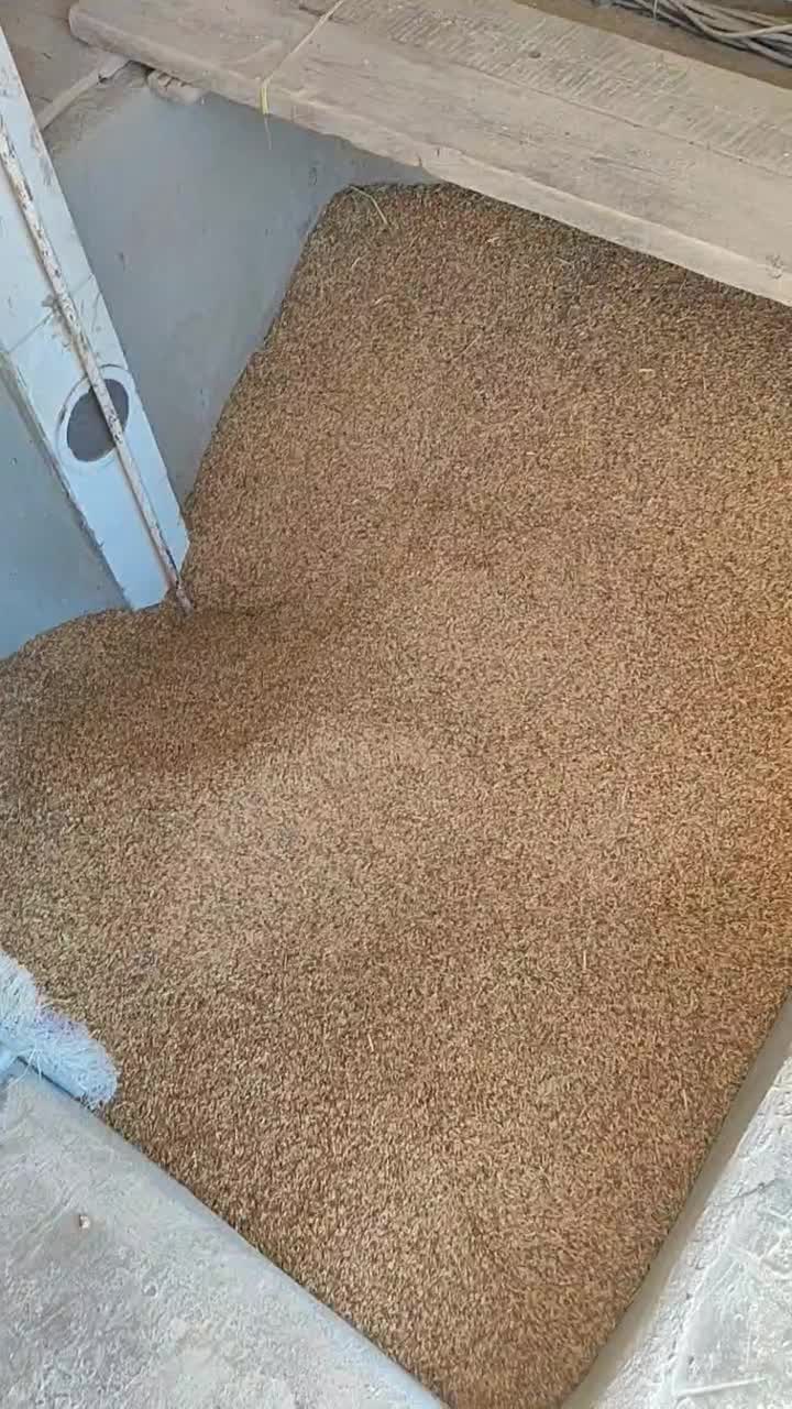 برنج چمپا میداوود|خوردنی و آشامیدنی|میانکوه, |دیوار