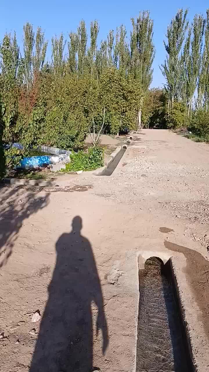 باغ فروشی|فروش دفتر صنعتی، کشاورزی، تجاری|مرند, |دیوار