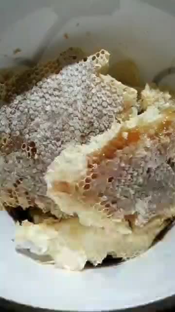 عسل صدرصد وحشی و طبیعی|خوردنی و آشامیدنی|تهران, آرژانتین|دیوار