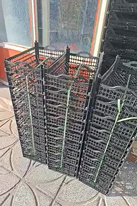 سبد|ظروف نگهدارنده، پلاستیکی، یکبارمصرف|کوهنانی, |دیوار