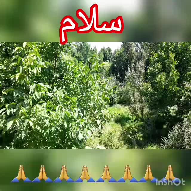 باغ وویلاوسکوکناره اب همراه رفتینگ|اجارهٔ کوتاه‌مدت ویلا و باغ|سامان, |دیوار