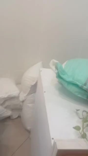 برنج درجه یک شیرودی طارم فجر|عمده‌فروشی|بابلسر, |دیوار