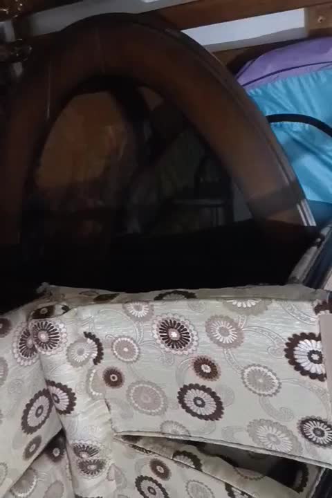 صندلی با میز ناهارخوری بزرگ ۸نفره|میز و صندلی غذاخوری|اندیشه, پرنیان|دیوار