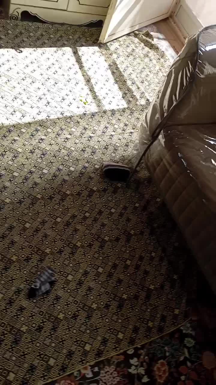 دوخت انواع کاور‌ مبل نایلونی وپارچه|خدمات پیشه و مهارت|سبزوار, پاسداران|دیوار