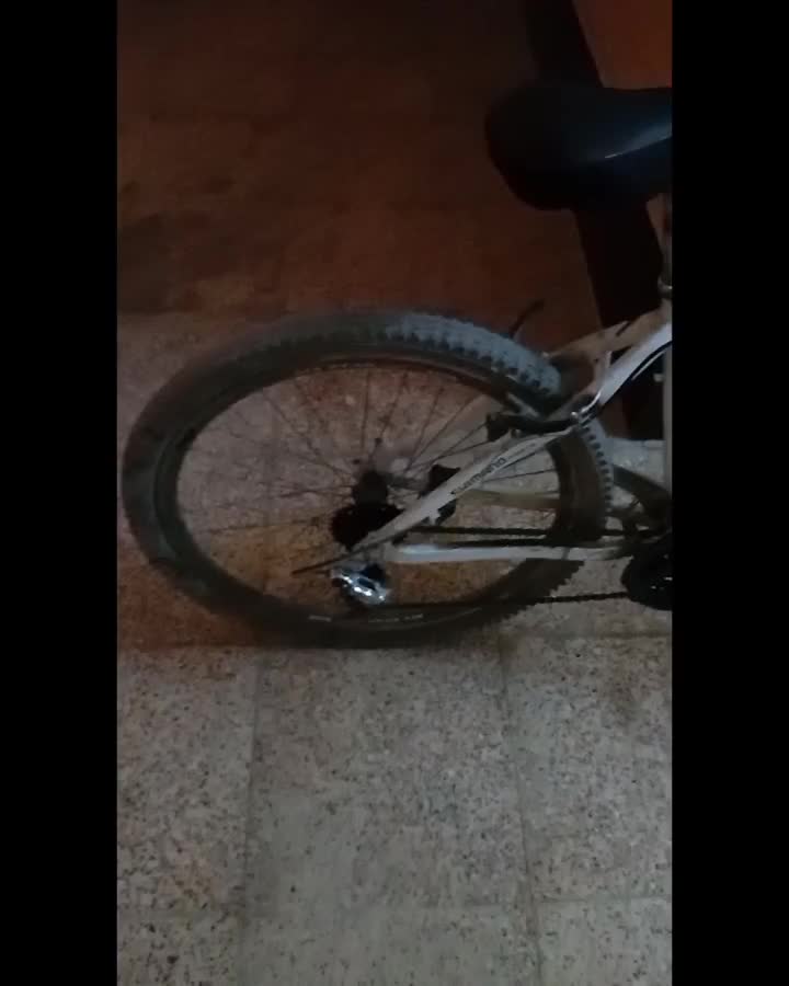 دوچرخه 26|دوچرخه، اسکیت، اسکوتر|شاهدشهر, |دیوار