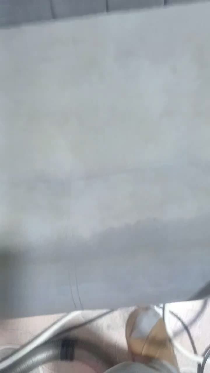 شرکت مبل شویی نیوکلین/ مبلشویی تخصصی کل کرج|خدمات نظافت|کرج, فاز ۲ مهرشهر|دیوار