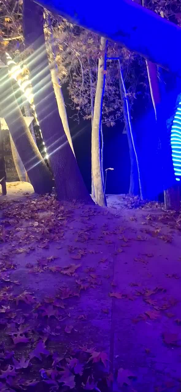 اجاره تخت و سکو کنار رودخانه|اجارهٔ کوتاهمدت ویلا و باغ|سامان, |دیوار