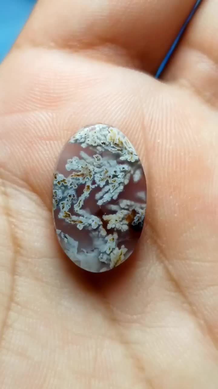 نگین های شجر عالی|جواهرات|سرایان, |دیوار