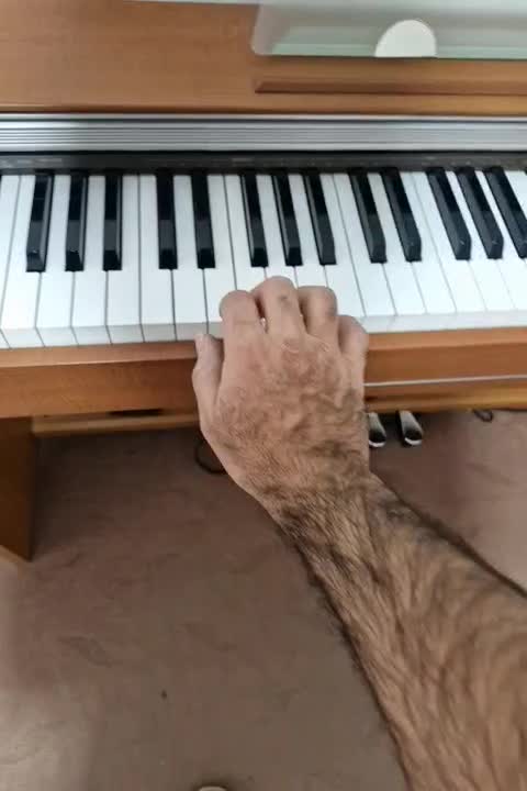 پیانو دیجیتال کاسیو px720c|پیانو، کیبورد، آکاردئون|اصفهان, شهرک کاوه|دیوار