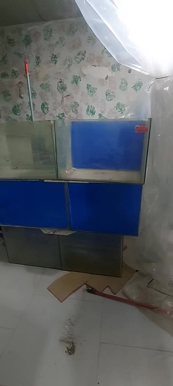 پایه اکواریوم ویترینی|ماهی|شهریار, کهنز|دیوار