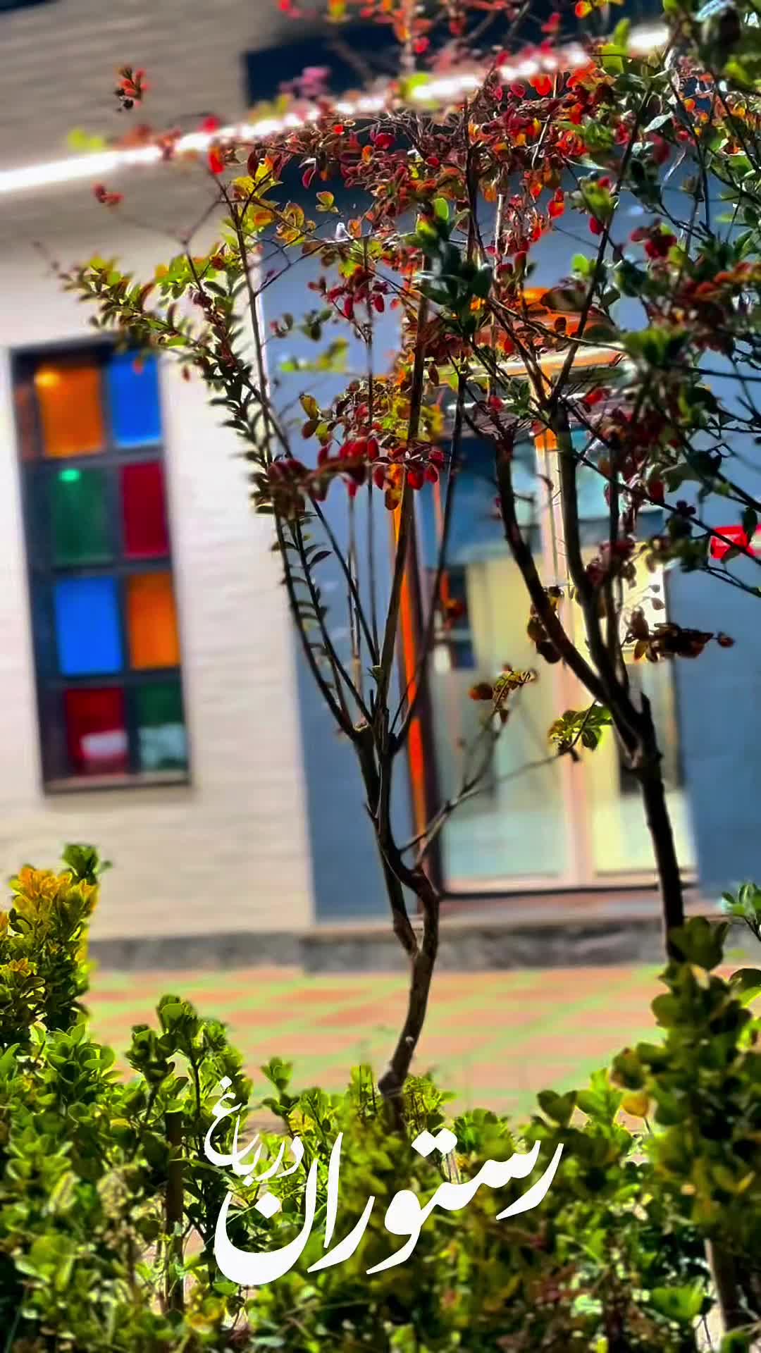 سالندار و ویتر|استخدام خدمات فروشگاه و رستوران|سبزوار, توحیدشهر|دیوار