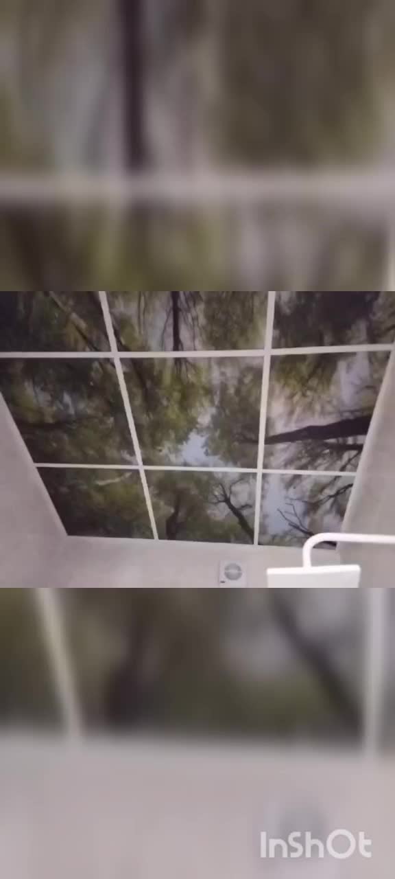 فروش نصب تخصصی پی وی سی سقف کاذب کناف آسمان مجازی|خدمات پیشه و مهارت|سیرجان, |دیوار