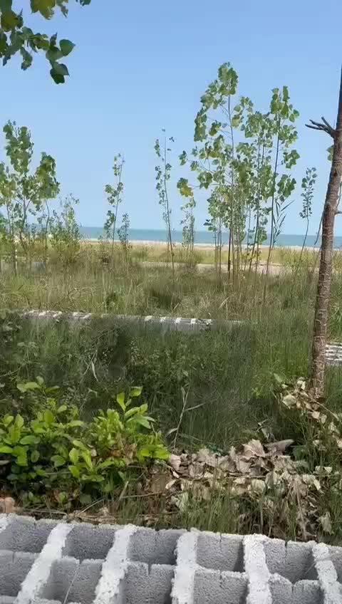 ویلای ساحلی تک خواب|اجارهٔ کوتاه‌مدت ویلا و باغ|خشکبیجار, |دیوار