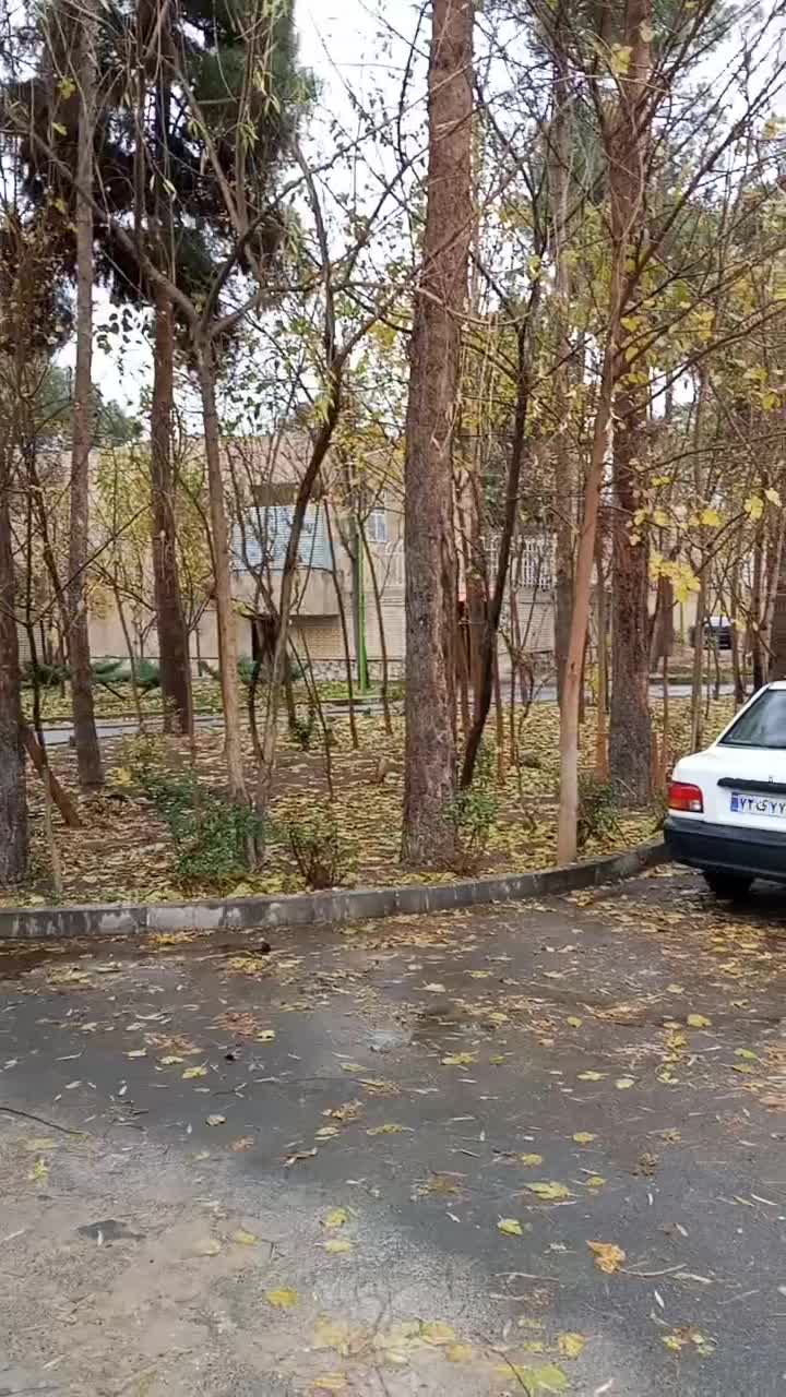 فروش خانه ویلایی|فروش خانه و ویلا|فولادشهر, A3|دیوار