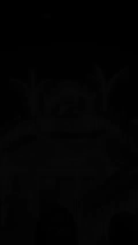 تالار و تشریفات عروسی سعید|خدمات پذیرایی، مراسم|رشت, فلسطین|دیوار