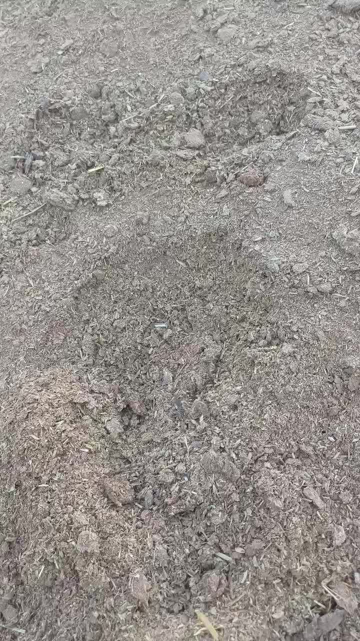 کود گاوی|خدمات باغبانی و درختکاری|شهریار, شهرک بهاران (ویره)|دیوار