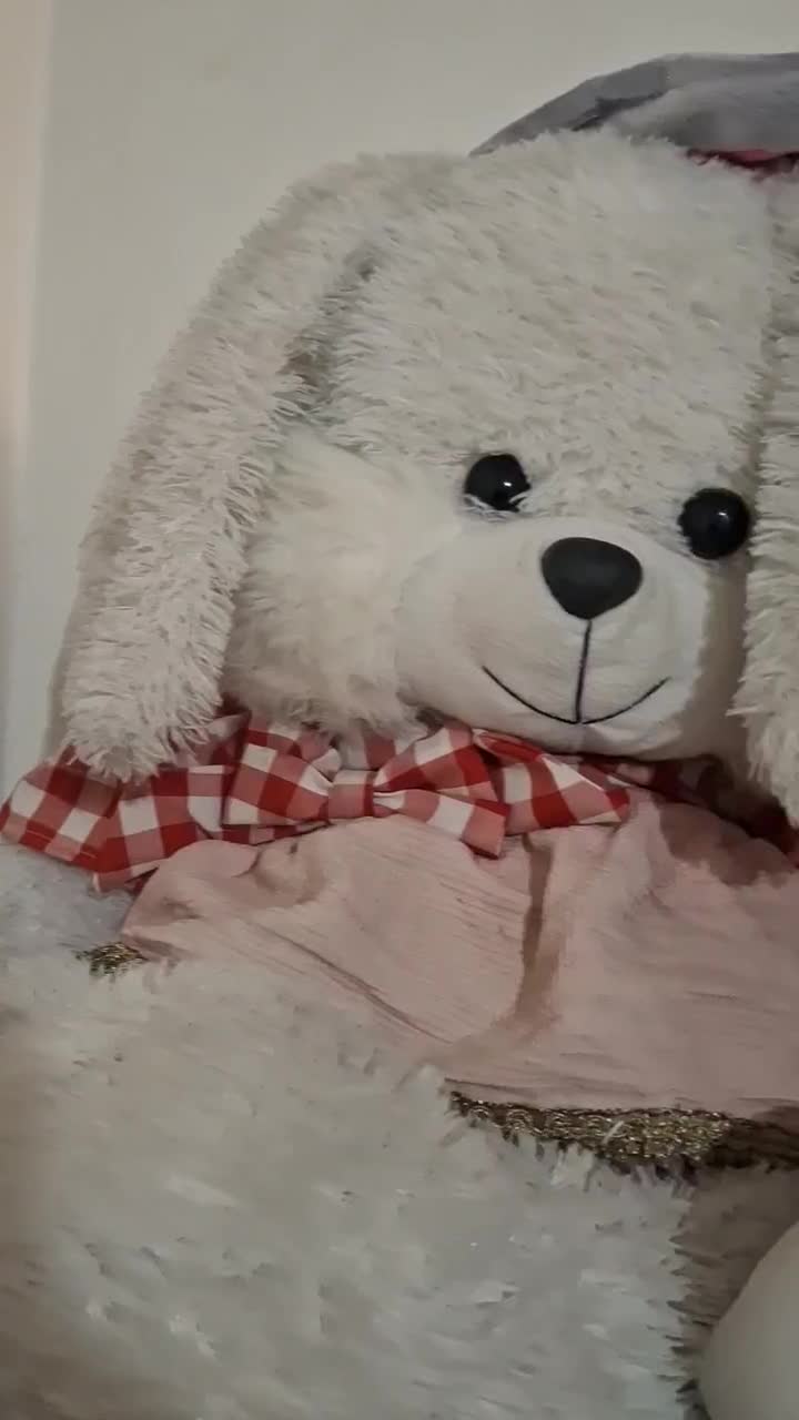 عروسک خرگوش و خرس در حد|اسباب‌بازی بچه|زنجان, |دیوار