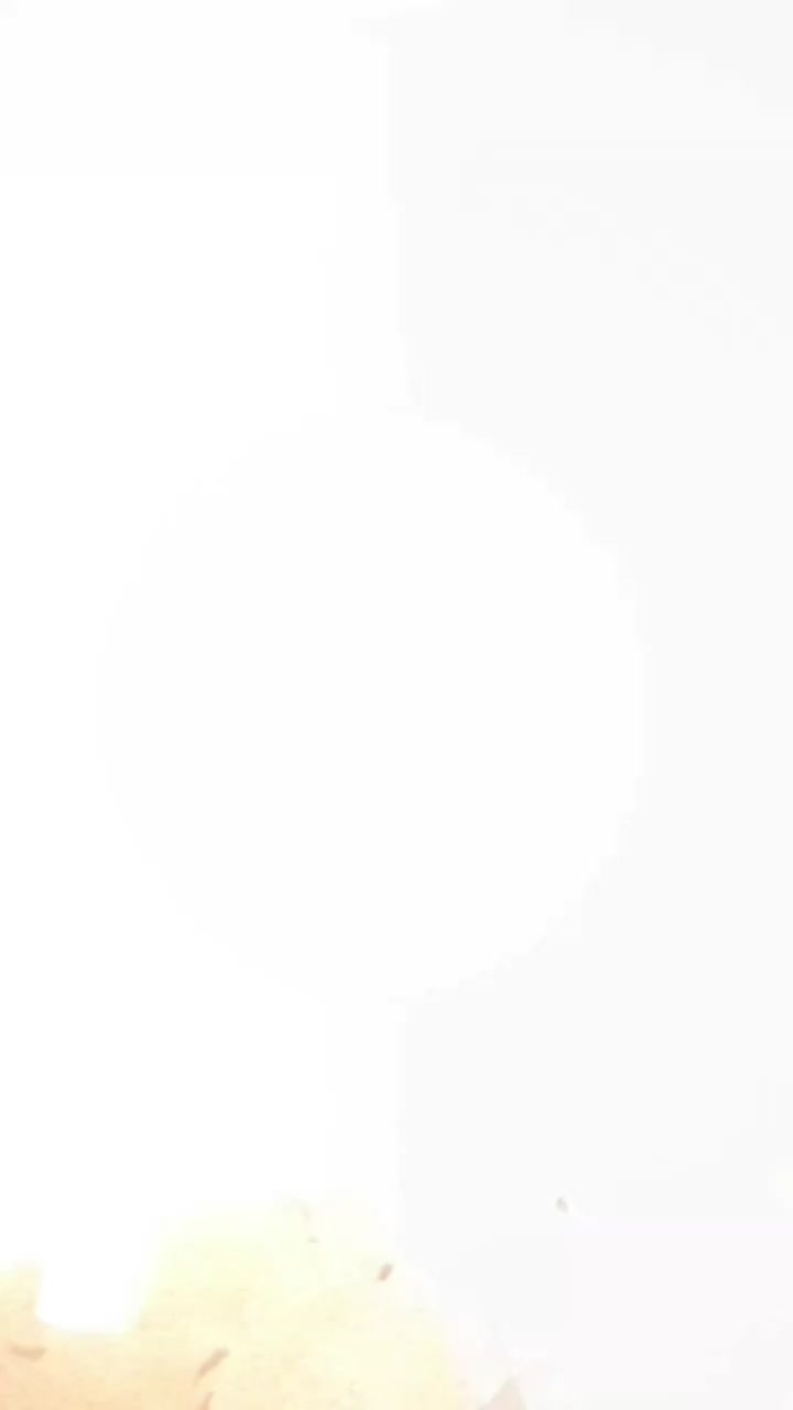 طوطی برزیلی با ۲ تا جوجه و کلیه وسایل|پرنده|لاهیجان, گلستان|دیوار