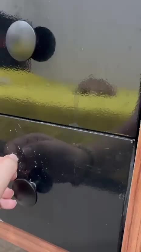 سرویس خواب شیک|تخت و سرویس خواب|ایذه, |دیوار