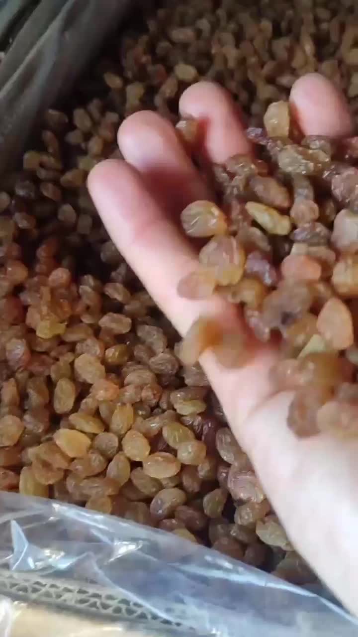 عمده فروشی|عمده‌فروشی|قوچان, |دیوار