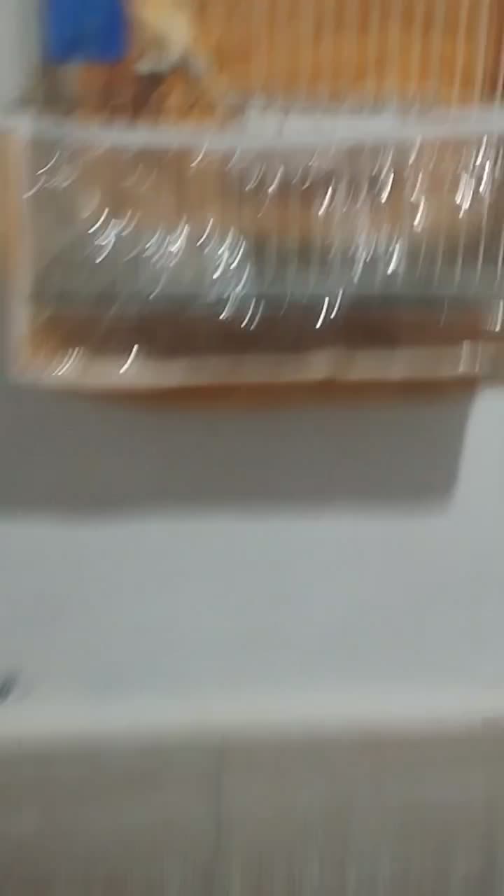 جفت قناری معاوضه با عروس|پرنده|بیرجند, |دیوار