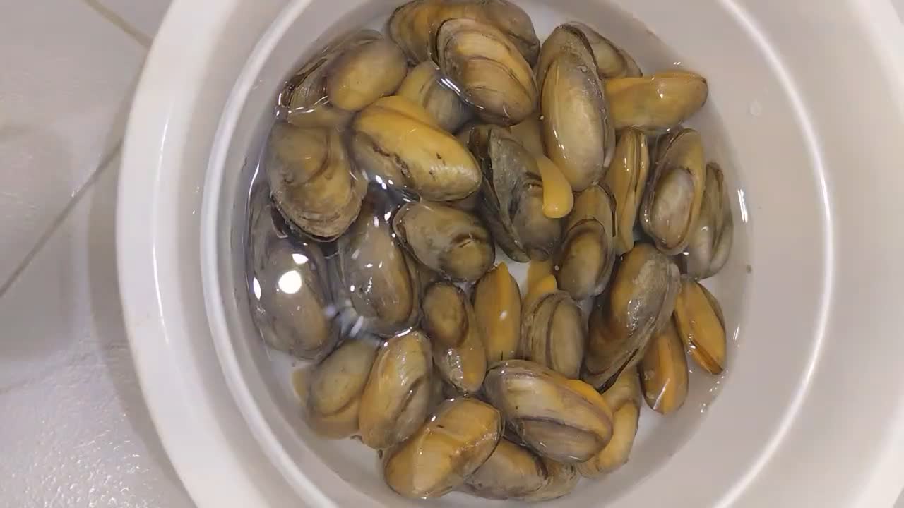 صدف زنده و بسیار زیبا ماهی|ماهی|کرمانشاه, |دیوار