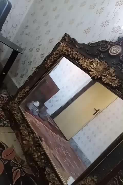 اینه‌بزرگ‌دحد‌نو|آینه|ماهدشت, |دیوار