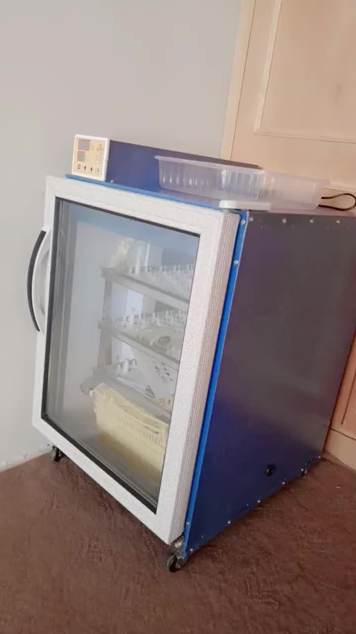 فروش دستگاه جوجه کشی خانگی|لوازم جانبی حیوانات|اهر, |دیوار