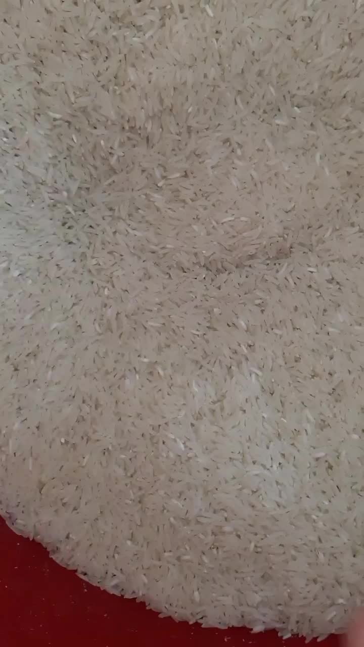 برنج فجر سوزنی سورت شده|خوردنی و آشامیدنی|گرگان, |دیوار