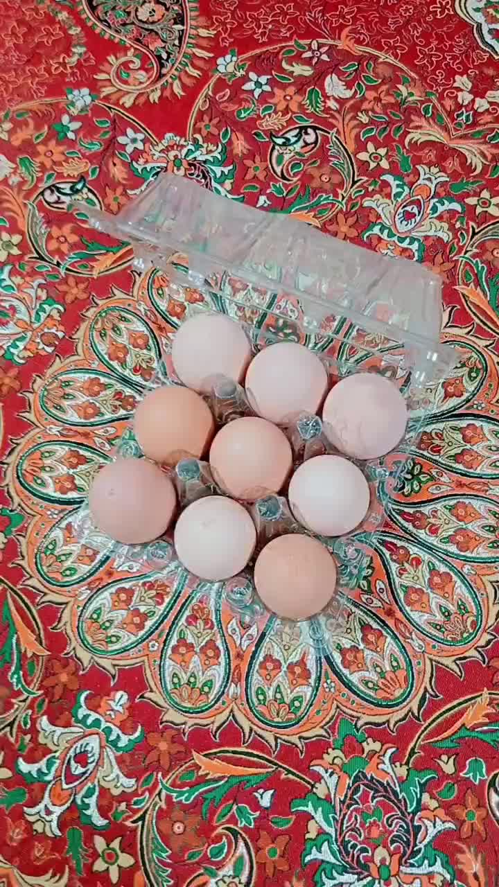 ظرف بسته‌بندی شانه تخم مرغ بلدرچین کبک|لوازم جانبی حیوانات|شیراز, رکن‌آباد|دیوار