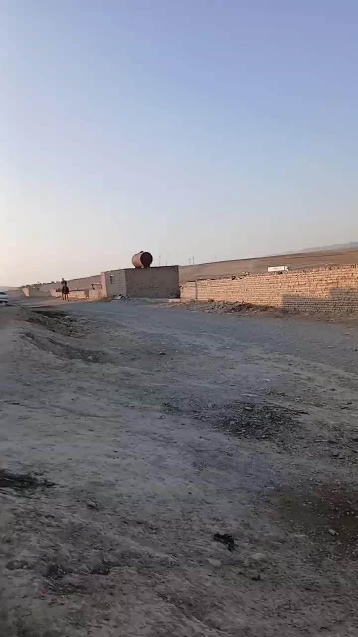 مادیان یورقه|اسب و تجهیزات اسبسواری|قوچان, |دیوار