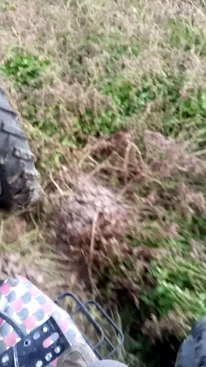 سرزن|ماشینآلات صنعتی|چادگان, |دیوار